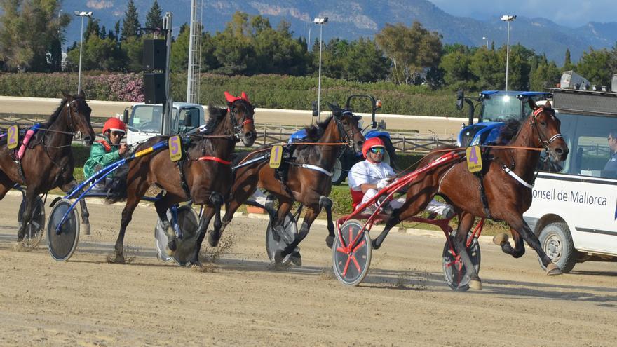 Kiwi Durán persigue un ambicioso doblete en el ‘Gran Premi de Manacor’