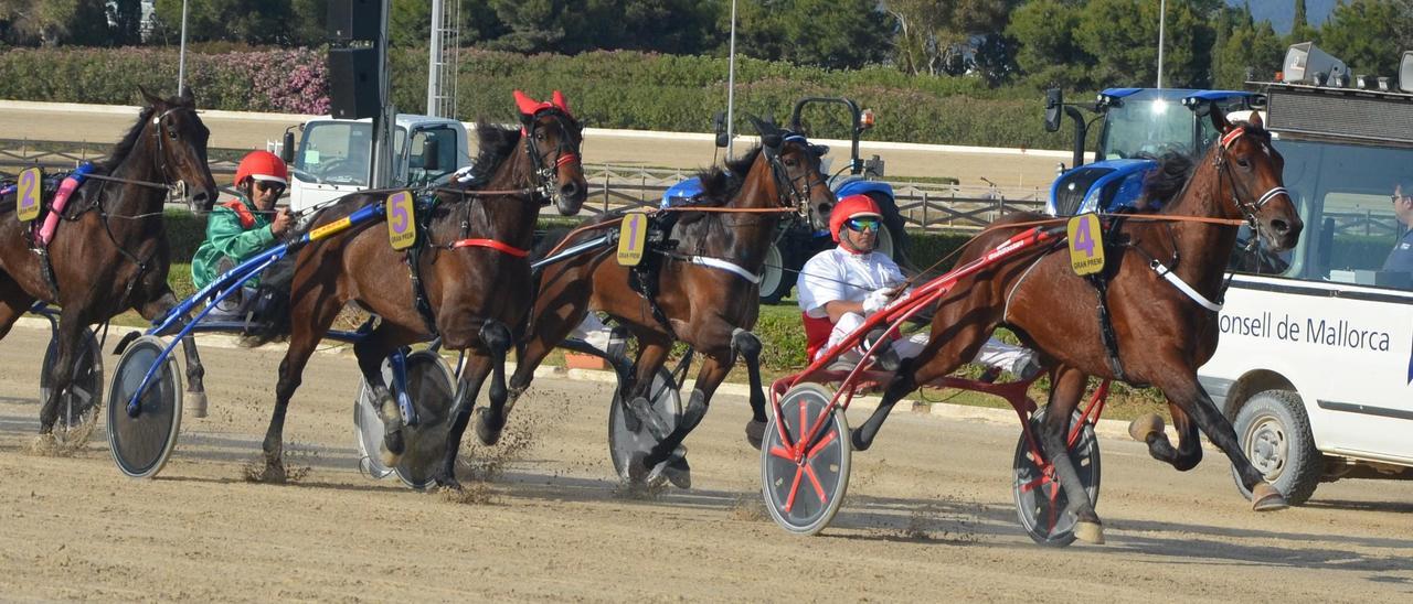 Kiwi Durán, con Guillem Andreu liderando el pelotón del ‘Gran Premi Nacional’, con Kasta Maker SB (5) y Karambola VX (1) a su estela