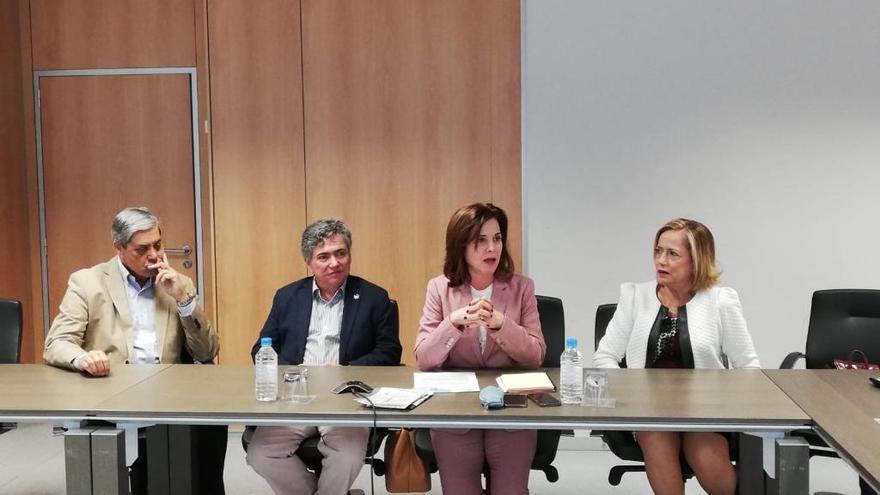 Reunión de la consejera de Sanidad con representantes de los colegios profesionales sanitarios de Canarias.