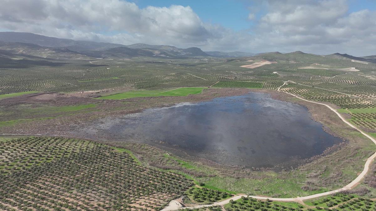Laguna del Conde o del Salobral, en Luque, la más extensa en superficie, este mes de febrero.