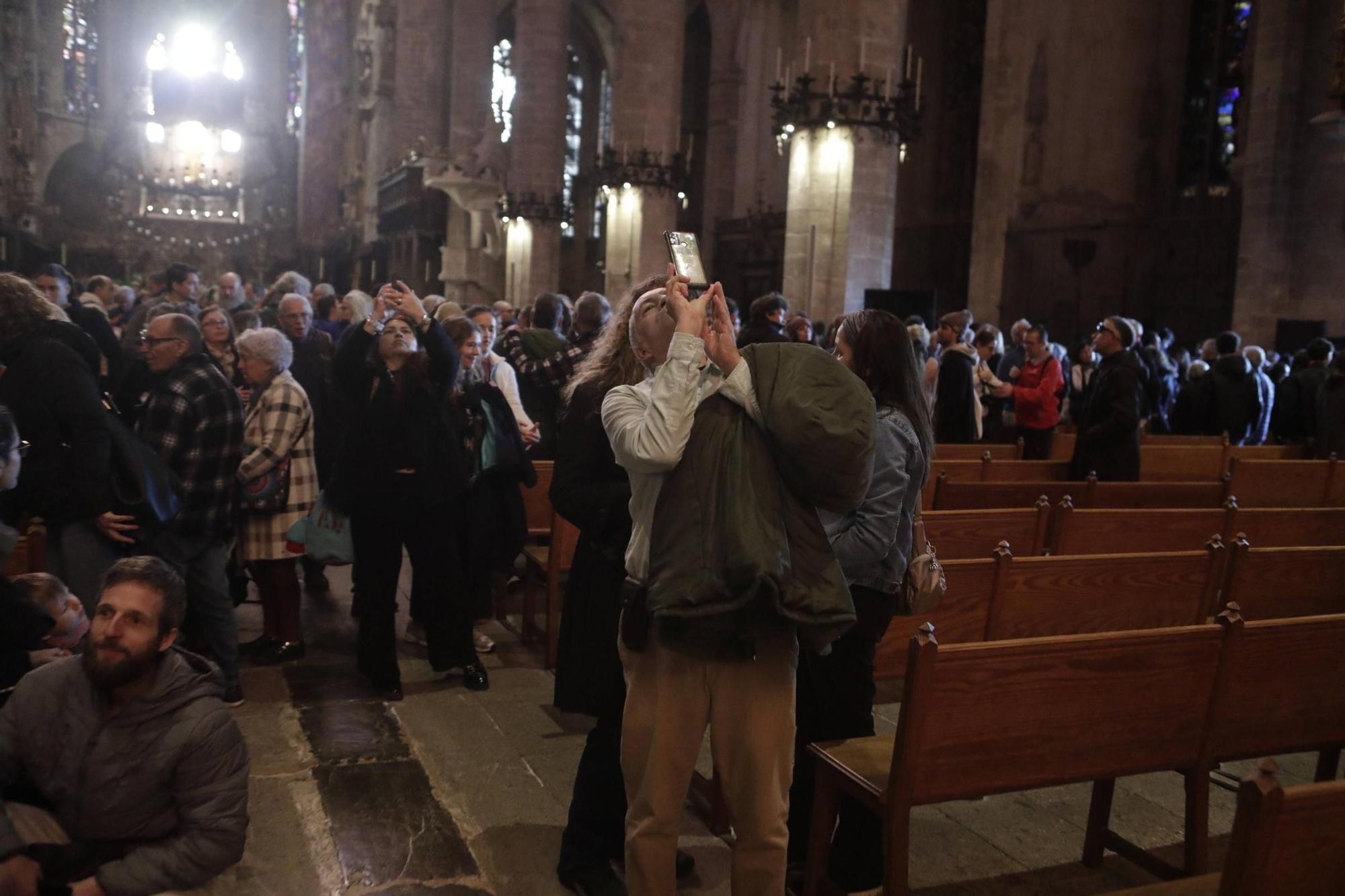 El 'Vuit de la Seu' ilumina la Catedral de Mallorca