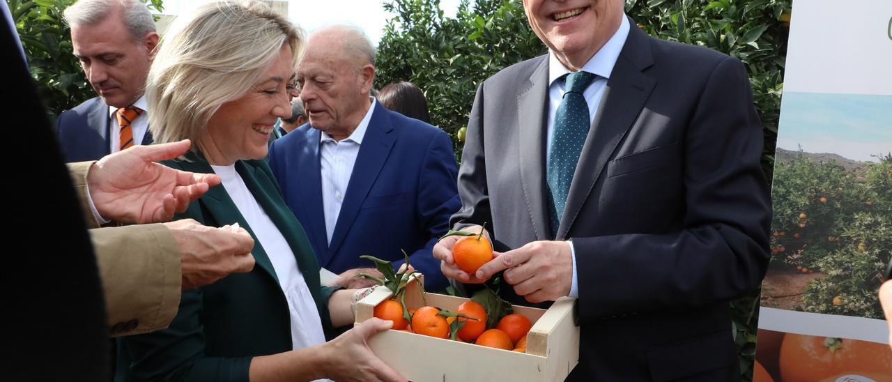 El president Ximo Puig, en el acto del primer corte de la naranja celebrado ayer en la localidad valenciana de Picanya