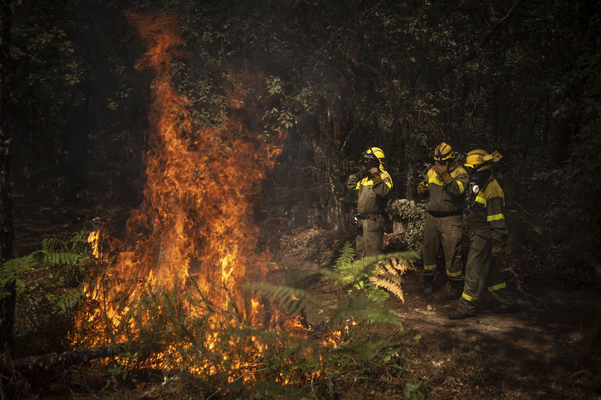 Efectivos antiincendios intentan apagar las llamas en O Irixo