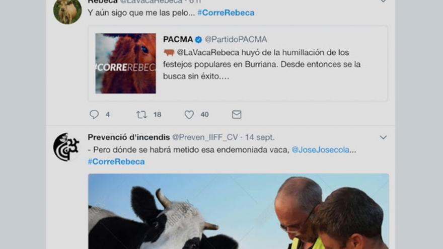 La vaca de Burriana protagoniza un sinfín de memes en las redes sociales