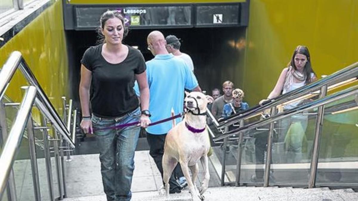Un perro y su propietaria simulan su salida del metro, en la parada de Lesseps de la L-3, en octubre del 2013, cuando se anunció la medida.