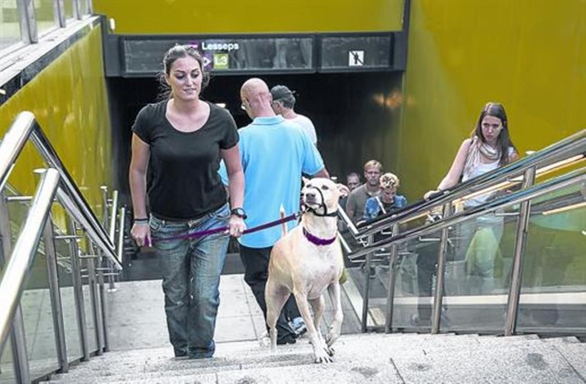 Un gos i la seva mestressa simulen sortir del metro, a la parada de Lesseps de la L-3, l’octubre del 2013, quan es va anunciar la mesura. Un gos i la seva mestressa simulen sortir del metro, a la parada de Lesseps de la L-3, l’octubre del 2013, quan es va anunciar la mesura.