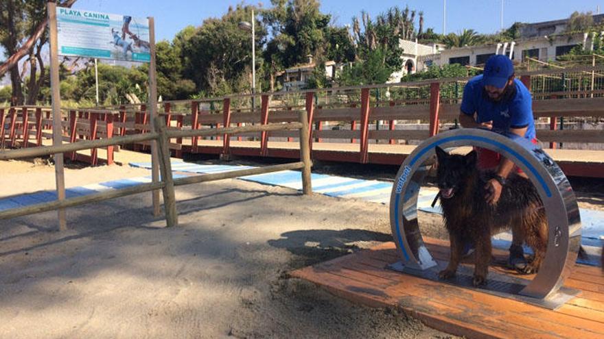 El Ayuntamiento de Marbella ha ampliado el equipamiento de la playa canina de El Pinillo.