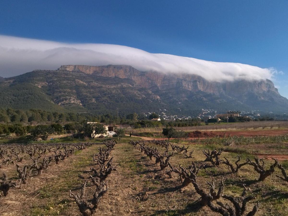 Imagen de la ladera sur del Montgó