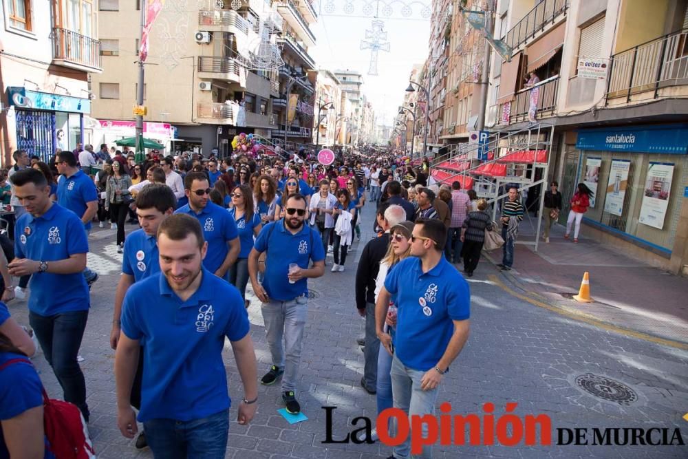 Caballo a pelo Caravaca (Desfile)