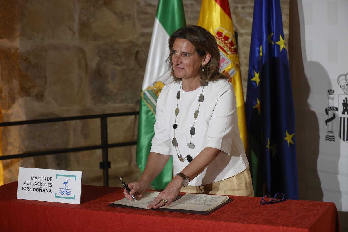 SEVILLA, 13/05/2024.- La vicepresidenta del Gobierno y ministra para la Transición Ecológica y el Reto Demográfico, Teresa Ribera, participa este lunes en Sevilla en el acto de firma con los 14 ayuntamientos del entorno de Doñana para el reparto de los 70 millones correspondientes al Marco de actuaciones para el desarrollo territorial sostenible del área de influencia del espacio natural.EFE/ Jose Manuel Vidal