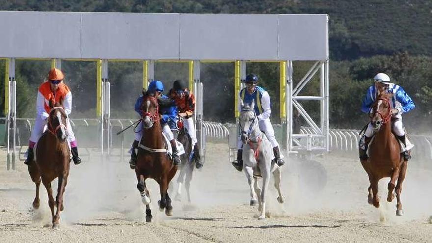 La primera carrera de galope, ayer en el hipódromo antelano. // J.Regal