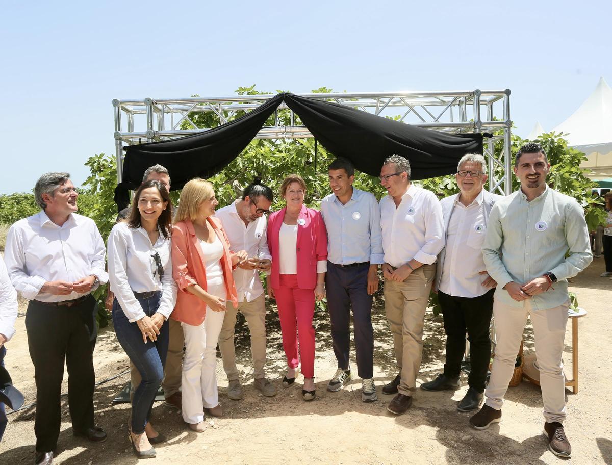 Acto del corte de la breva en Albatera 2024 Acto del corte de la breva en Albatera 2024