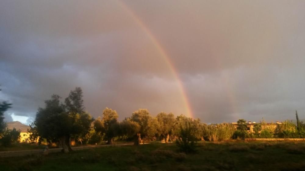 Mallorca, en riesgo importante por nevadas este sábado