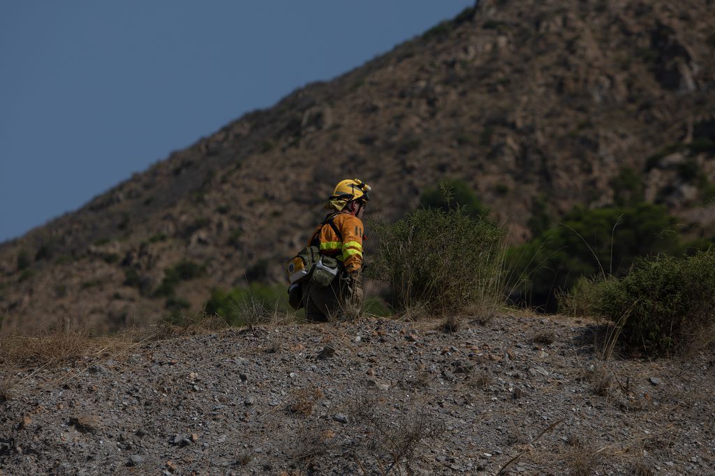 El incendio de las Cuestas del Cedacero, en imágenes