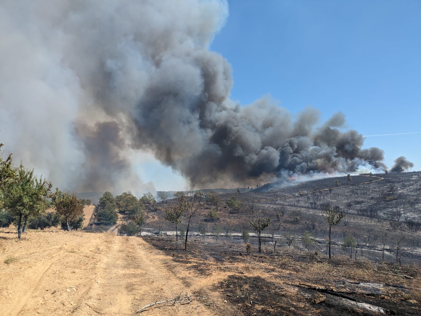 GALERÍA | Incendio en Argozelo, Portugal, junto a la frontera con Zamora