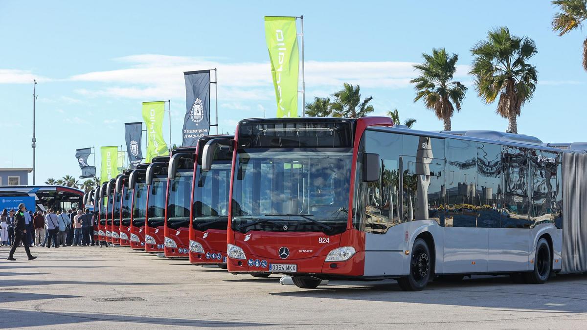 Imagen de los nuevos autobuses incorporados a la flota de Vectalia.