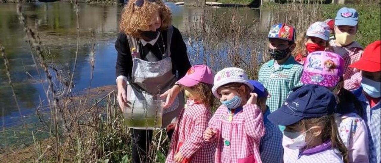 En Vilaza, Monterrei, los alumnos observaron el proceso de metamorfosis de los renacuajos y los soltaron al río convertidos en ranas.   | // FERNANDO CASANOVA