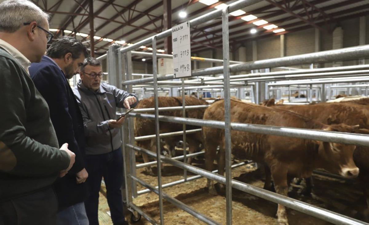 Diego Calvo, en el centro, durante su visita a la subasta ganadera.