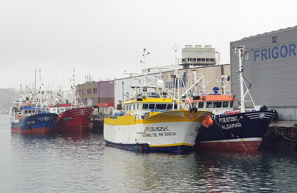 Pesqueros amarrados ayer cerca de las estaciones de servicio del puerto.