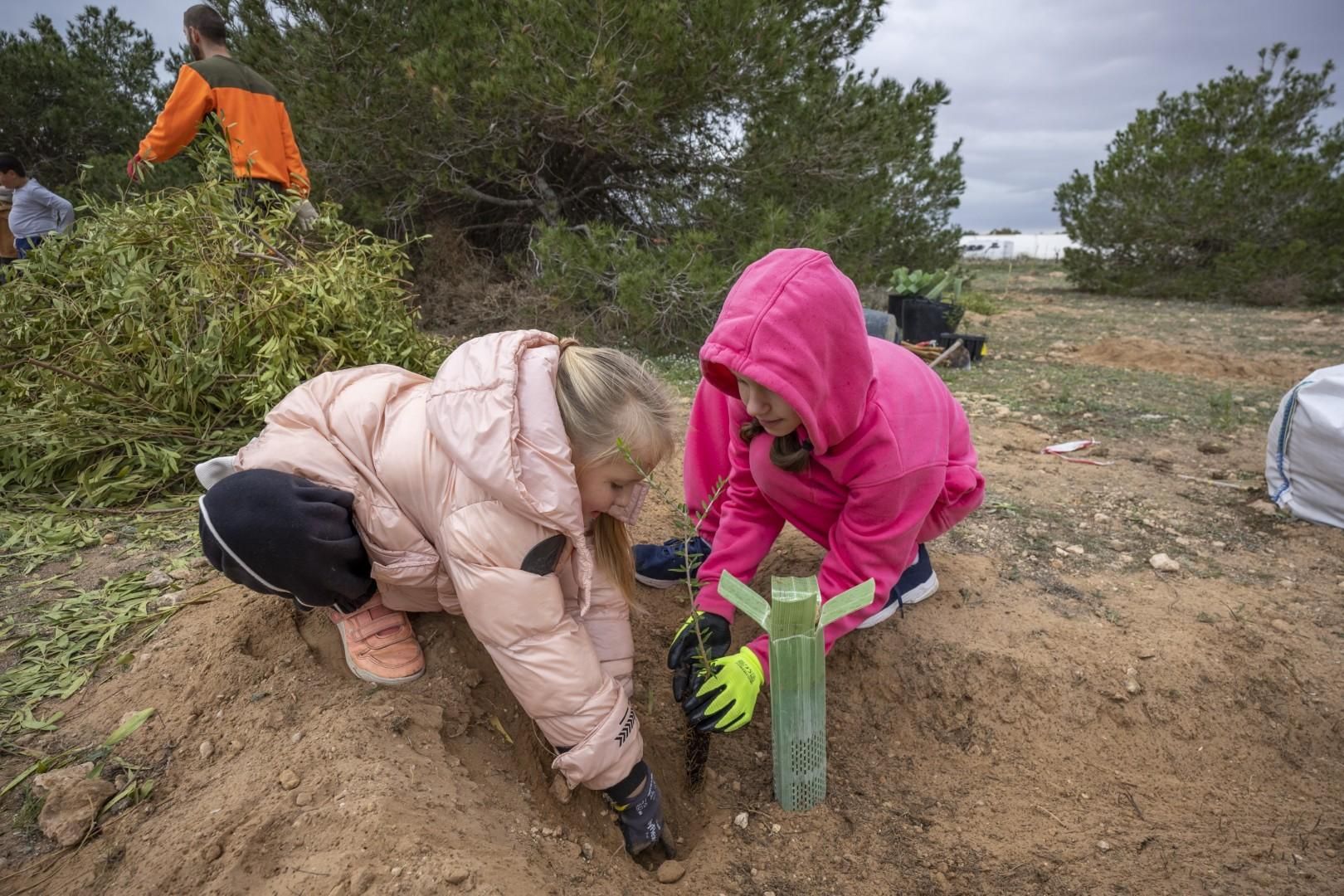 Jornada escolar plantación de especies autóctonas junto al parque natural de las lagunas de Torrevieja y La Mata