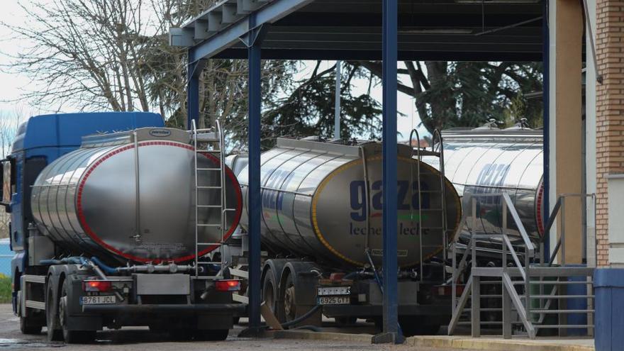 Camiones de Leche Gaza.