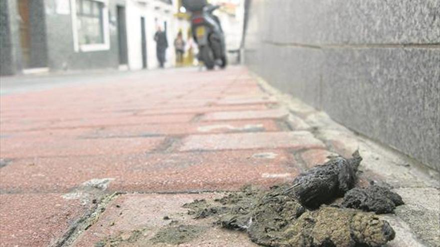 La Policía de Mérida intensifica el control para evitar heces de perros en las calles