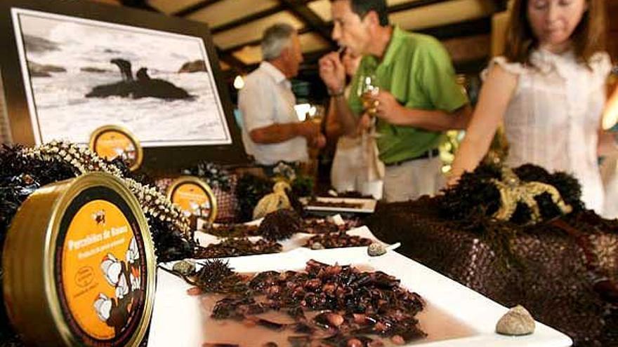 Percebes en la presentación del paté que se elabora con esta materia prima.