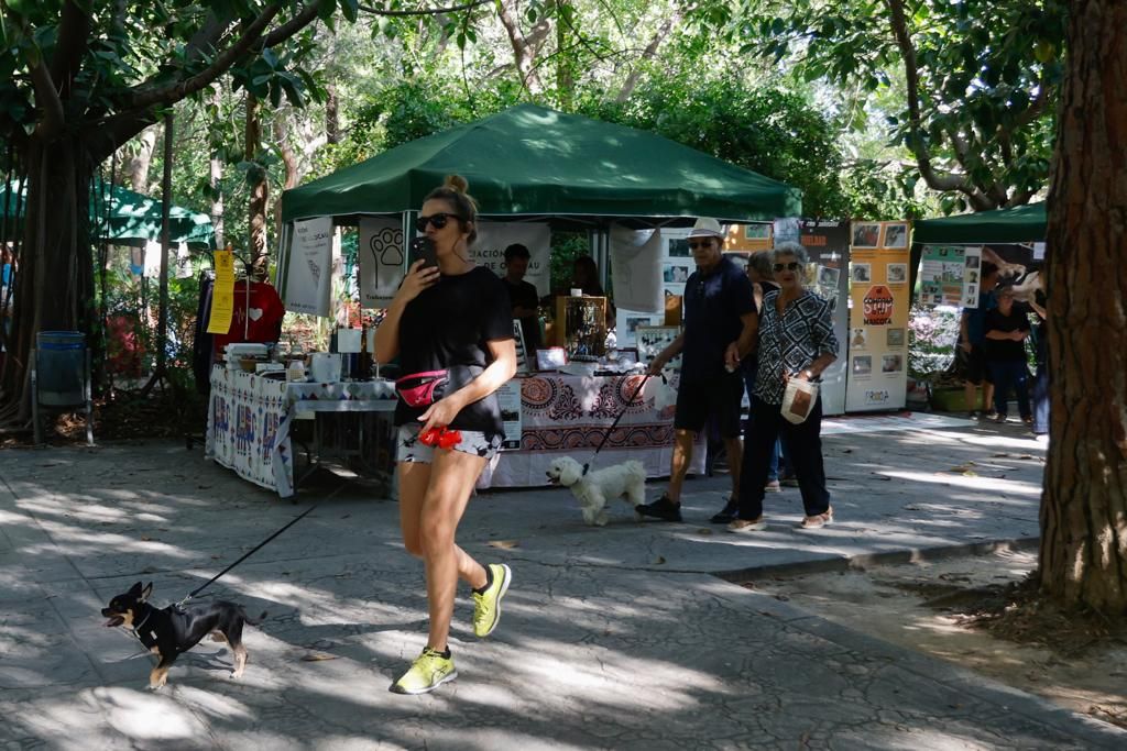 Así ha sido la Feria de los Animales en València