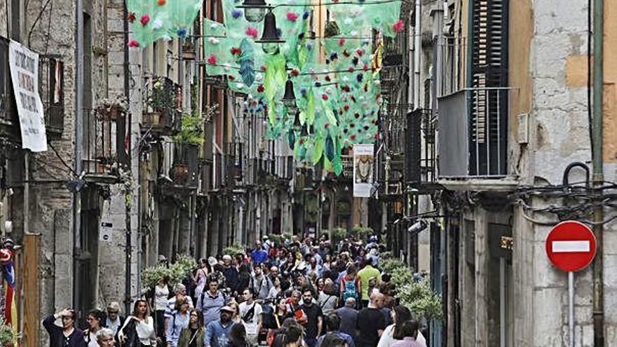 Un Temps de Flors amb flors:  Feia molts anys que no passava