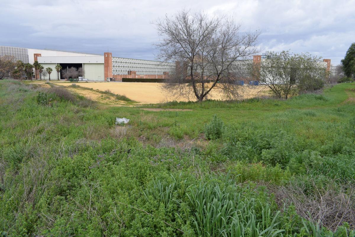 Terrenos aledaños a Fibes, Sevilla