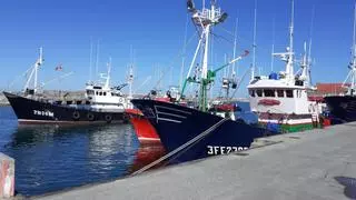 El Gobierno asegura que los pescadores recibirán ayudas por todas sus inversiones en sostenibilidad
