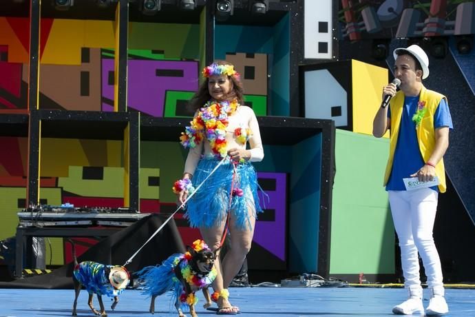 24.02.19. Las Palmas de Gran Canaria. Carnaval 2019. Concurso Carnaval Canino 2019. Yamile Vélez Sánchez, presenta a Etoo e Isa, con la fantasía "Hawaianos". Foto Quique Curbelo