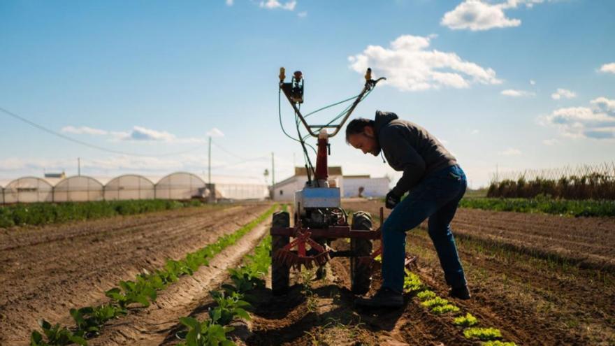 Alboraia, en el top de nuevos contratos de trabajo de la comarca tras dejar atrás un junio con la tasa de paro más baja (7%) desde febrero de 2007