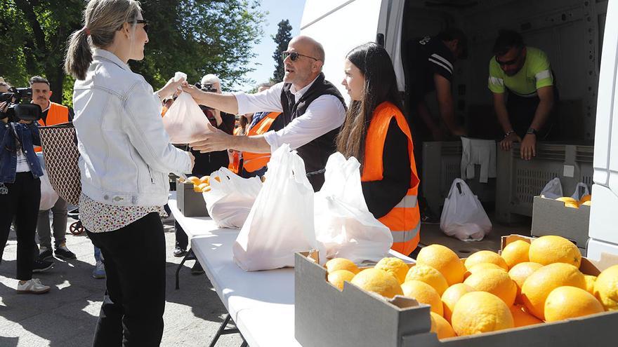 Reparto de naranjas reivindicativo de las organizaciones agrarias cordobesas