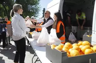 Reparten 500 kilos de naranjas gratis para protestar contra la política agraria del Gobierno