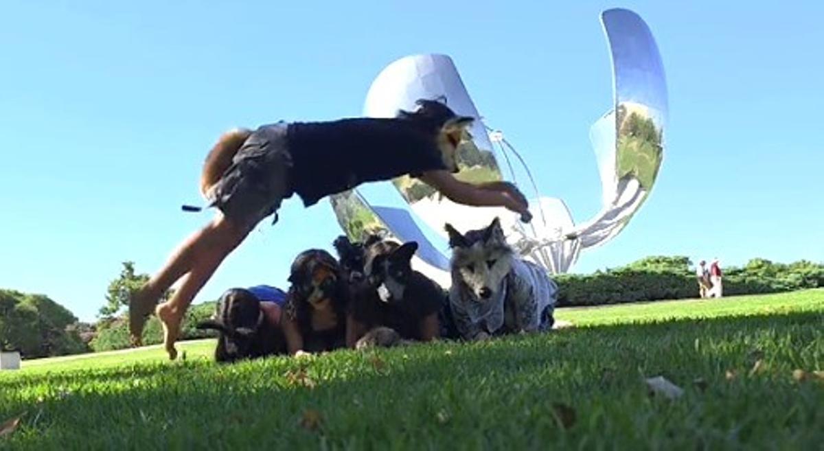 Therians, el fenómeno que empieza a hacerse viral.