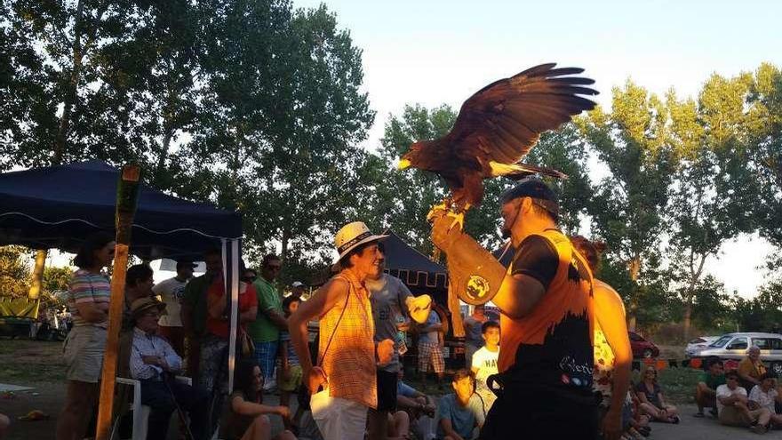 Las aves fueron las protagonistas de una de las tardes.