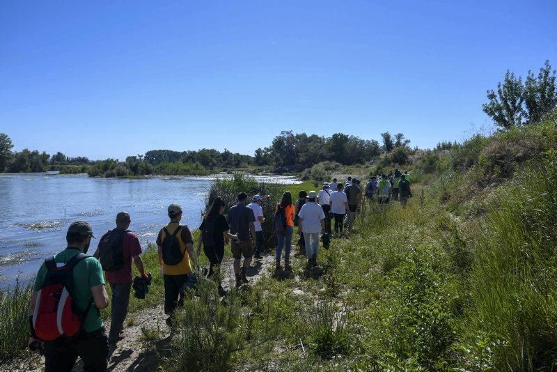 Recogida de plásticos en la ribera del Ebro