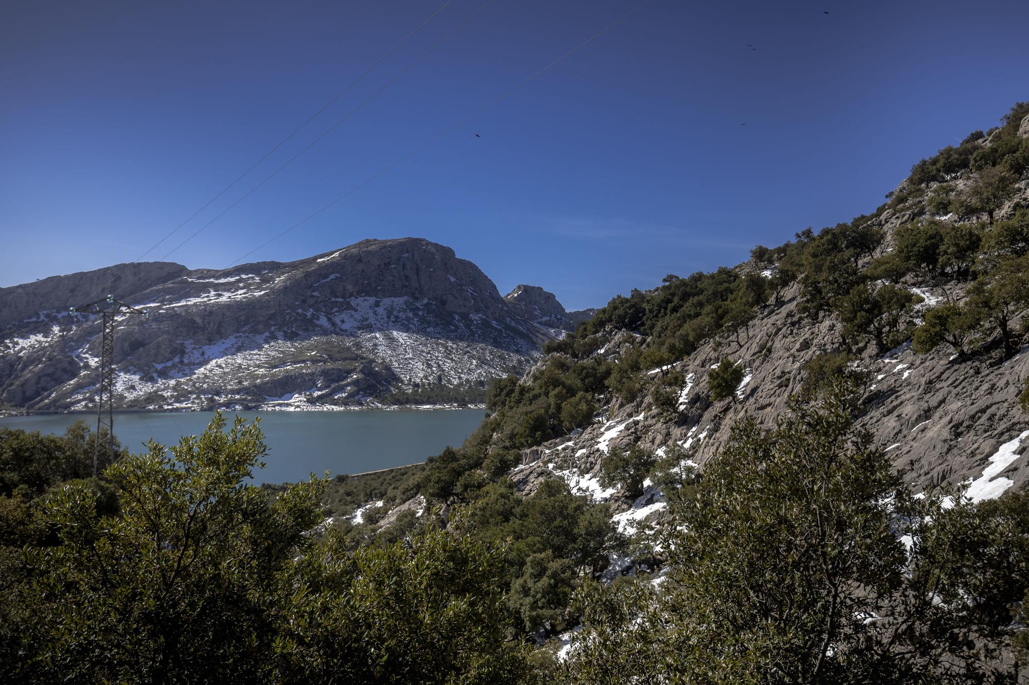 Schönheit und Verwüstung: Die Serra de Tramuntana nach dem Sturmtief Juliette