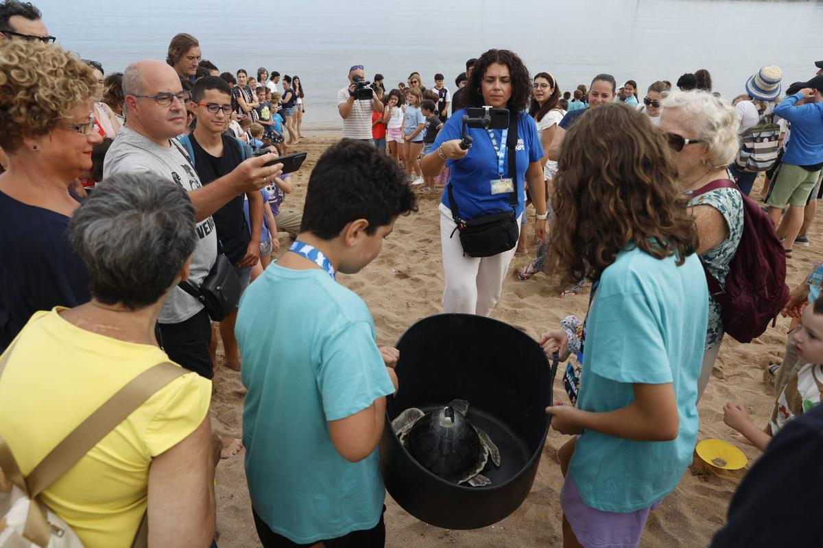 La vuelta al mar de la tortuga lora rescatada en Gijón tras recuperarse en el Acuario, en imágenes La vuelta al mar de la tortuga lora rescatada en Gijón tras recuperarse en el Acuario, en imágenes