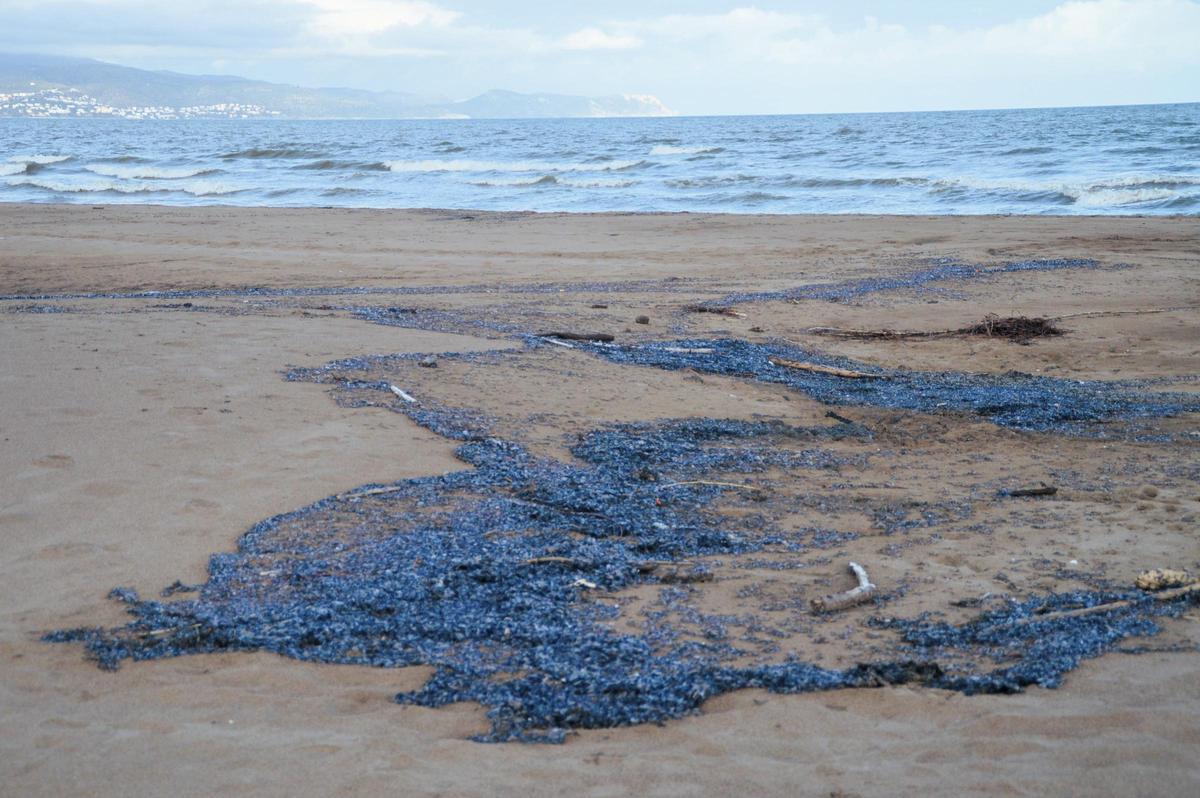 Una estiba de barquetes de Sant Pere a la platja gran de Sant Pere Pescador