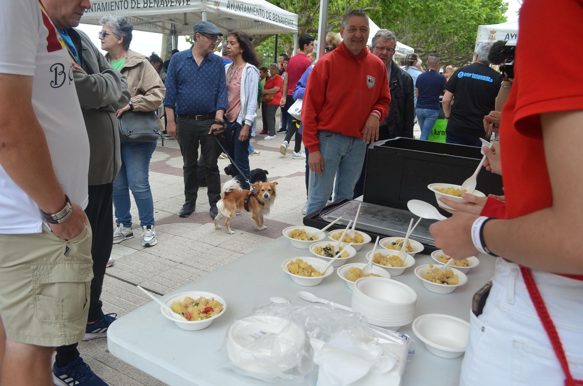 Fiestas del Toro en Benavente: La degustación popular, todo un éxito