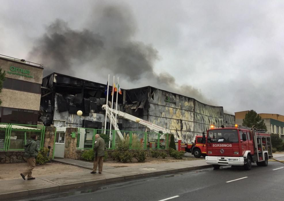 Una fábrica de Ávila, devorada por el fuego