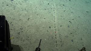 Científicos encuentran agujeros alineados en el fondo del Atlántico