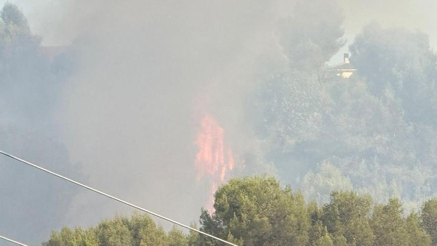 L'incendi a Sant Vicenç de Castellet d'aquest divendres al vespre