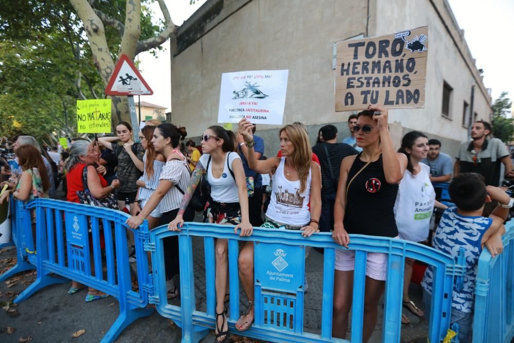 Primera corrida tras la aprobación de la ley de 'toros a la balear'