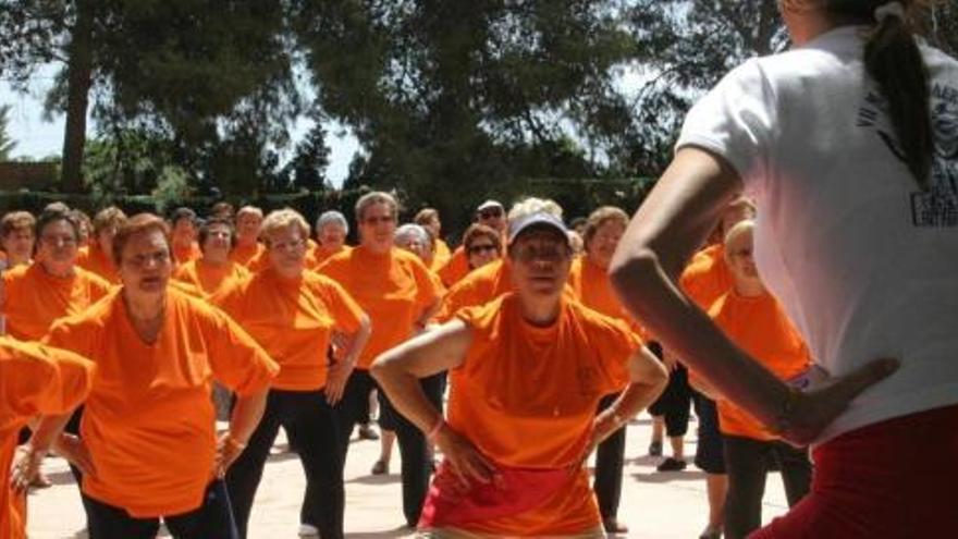 Un grupo de personas, practicando gerontogimnasia.