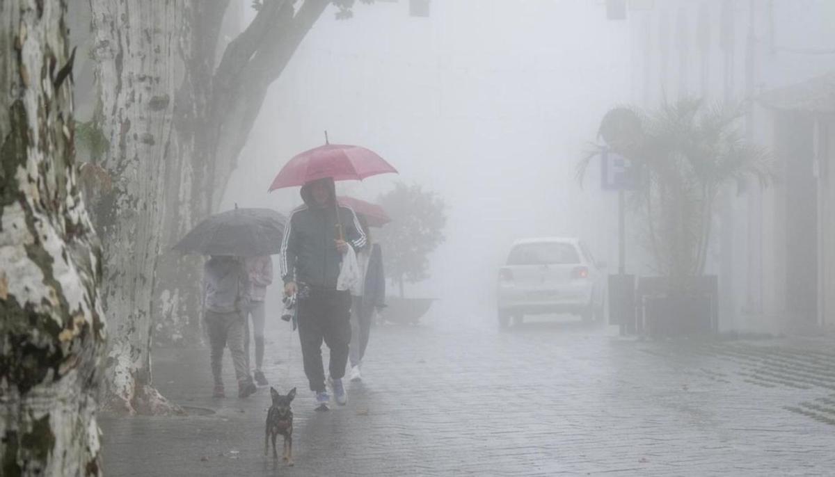 El paso de la borrasca ‘Hermine’, el pasado octubre de 2022, en Gran Canaria. | | LP/DLP