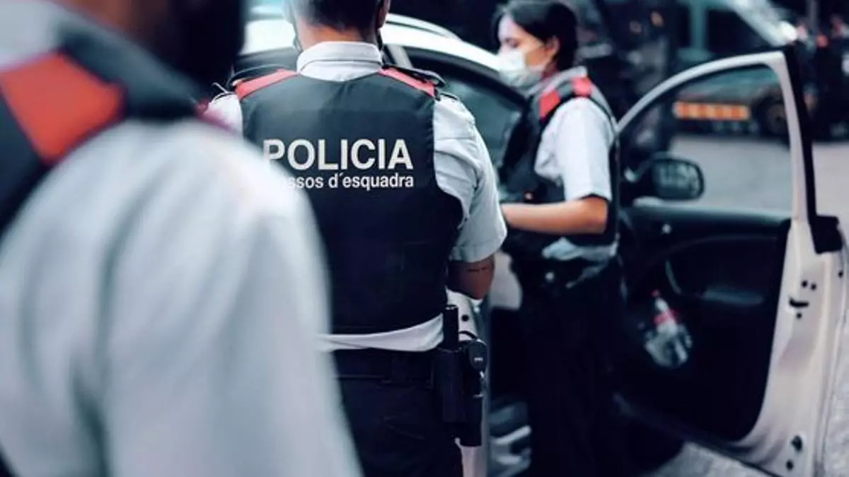 Los Mossos desmantelan una plantación de marihuana en un piso de Barcelona