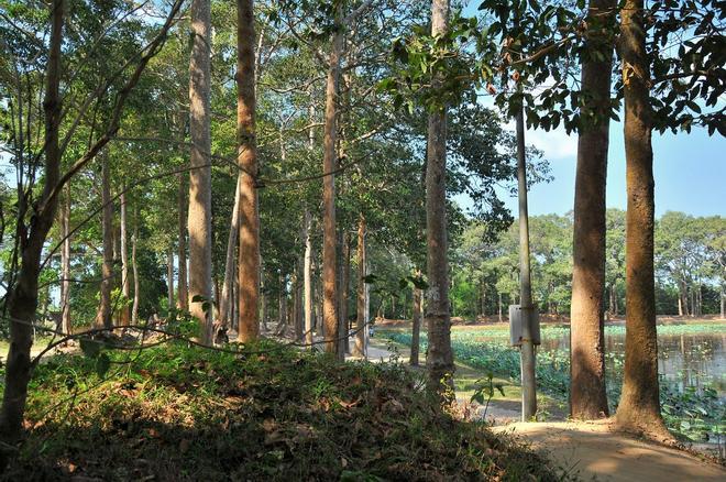 Ba Om, Delta del Mekong, Vietnam